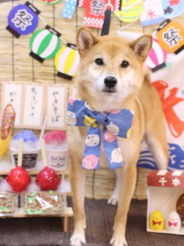 20240710シュウくん